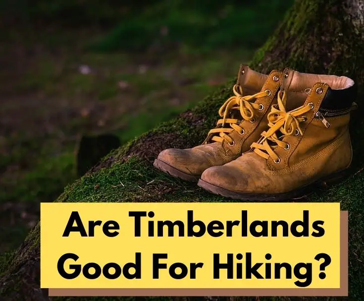 Are Timberlands Good For Hiking? - The Fun Outdoors