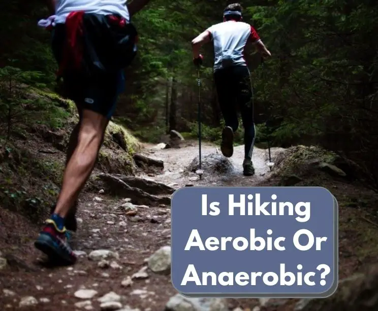 Is Hiking Aerobic Or Anaerobic