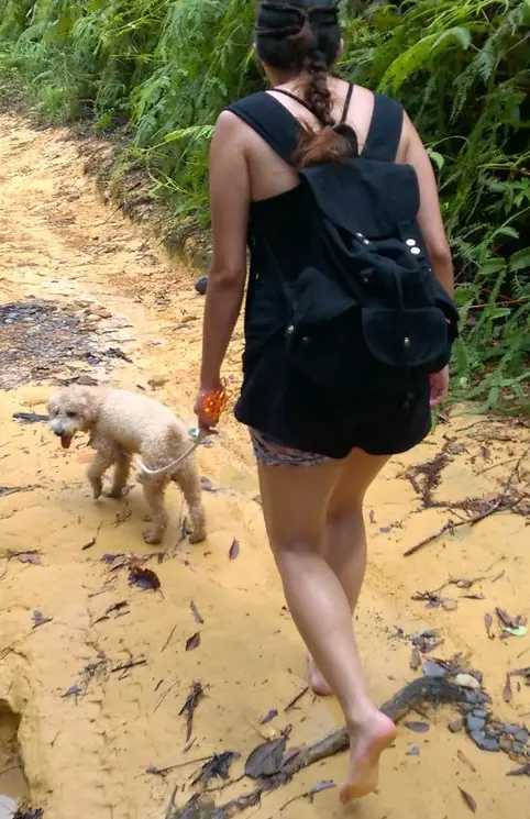 Hiking While Barefoot