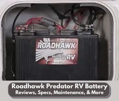 Roadhawk Predator RV Battery