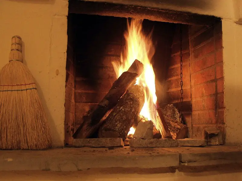 Types Of Wood Not To Burn In Fireplace