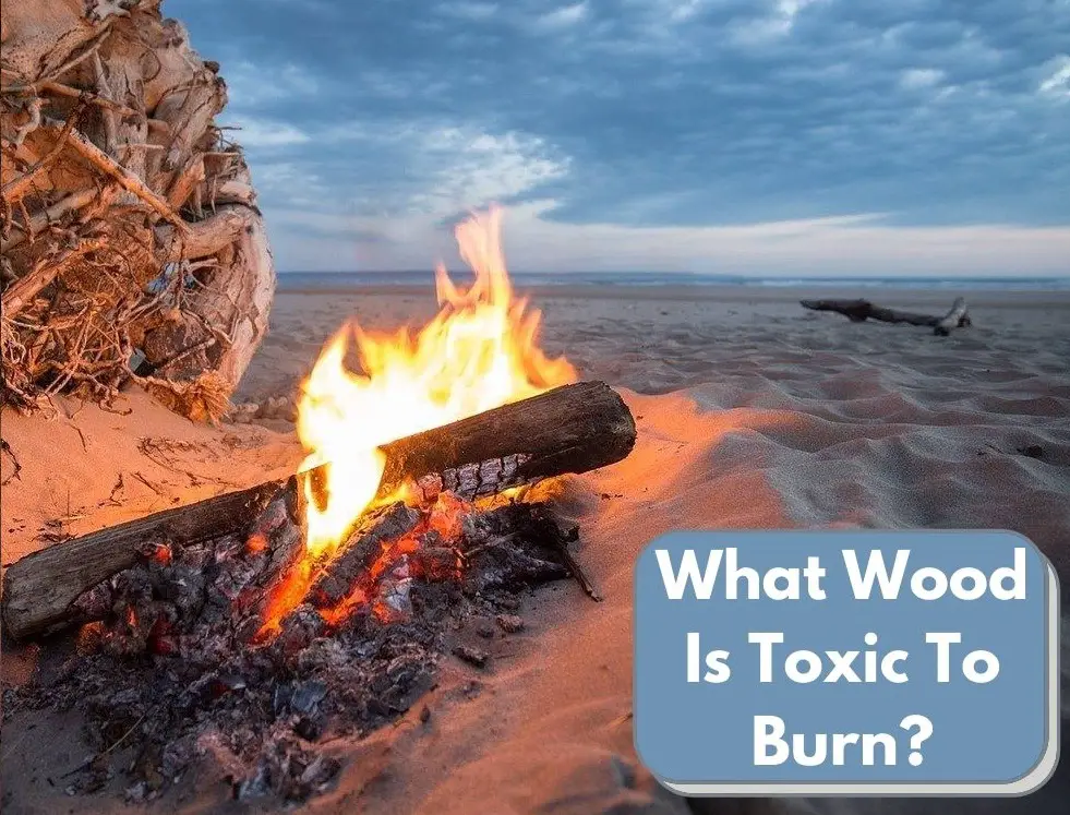 What Wood Is Toxic To Burn