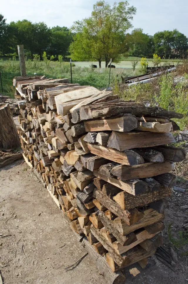How Long Does It Take Logs To Dry Out