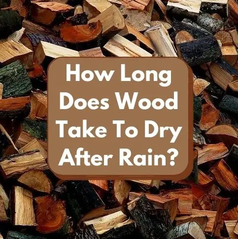How Long Does Wood Take To Dry After Rain