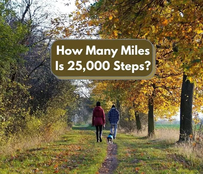 25000 Steps In Miles