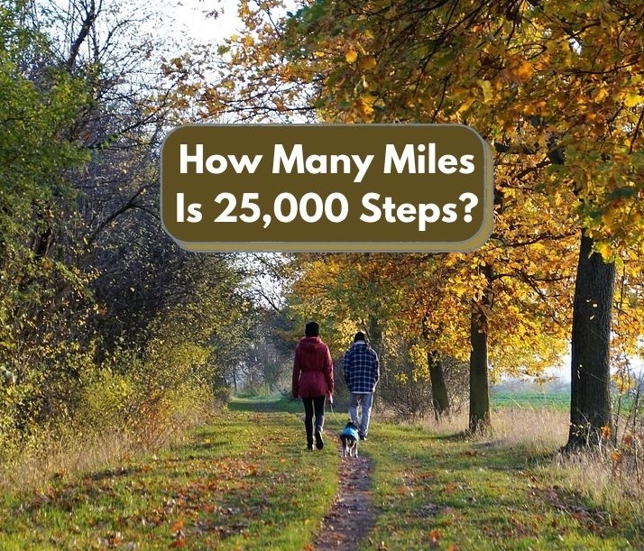 How Many Miles Based On Steps