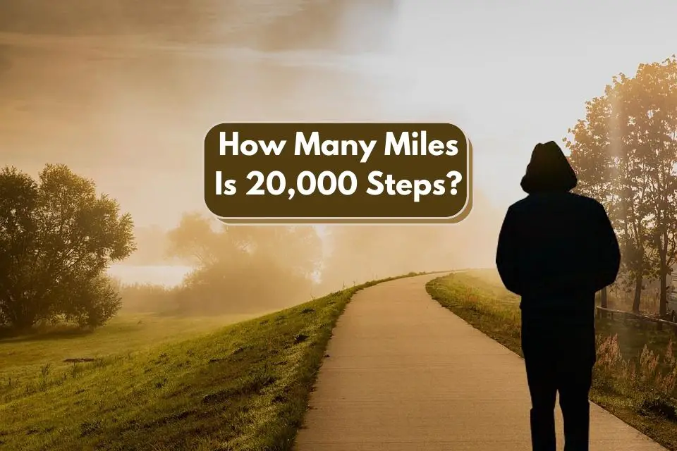 How Many Miles Is 20000 Steps