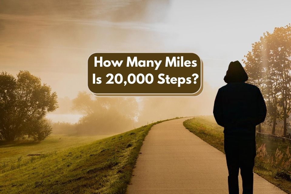 How Many Miles Is 20 000 Steps 20k Steps To Miles Explained