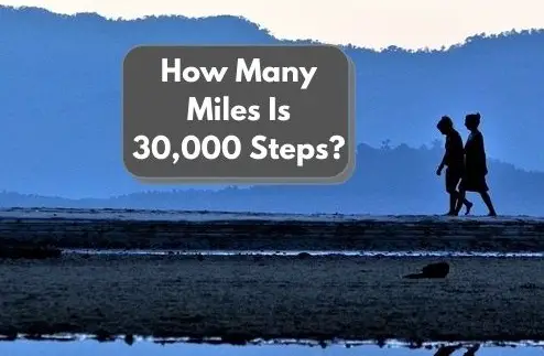 How Many Miles Is 30,000 Steps