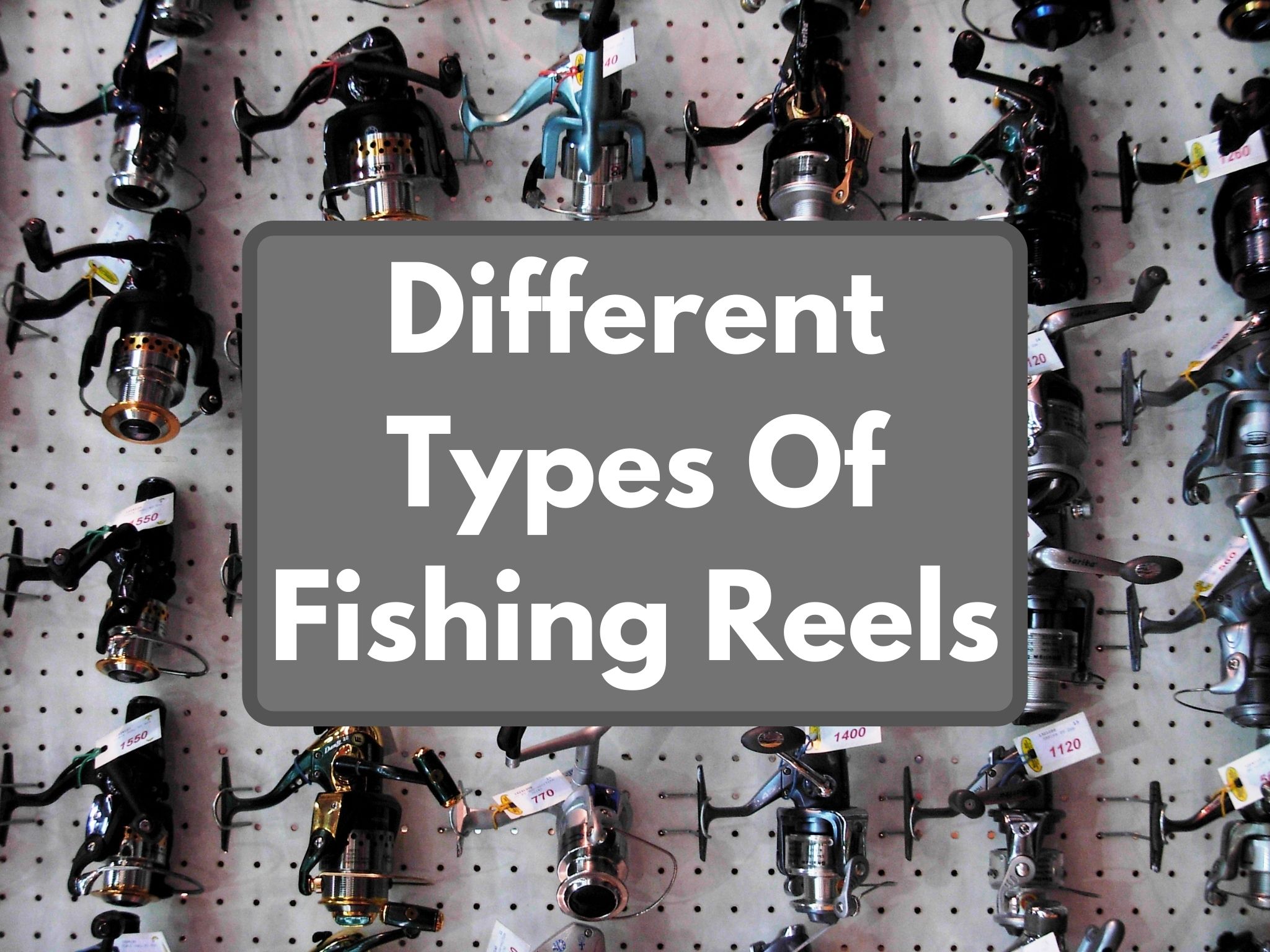 Different Types Of Fishing Reels
