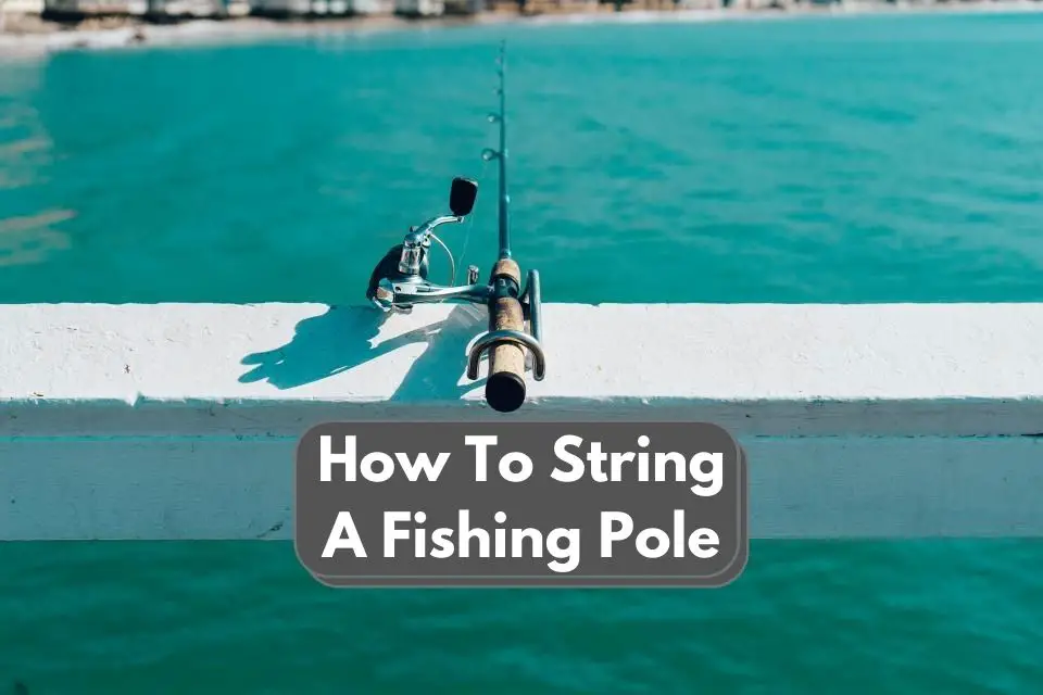 How To String A Fishing Pole