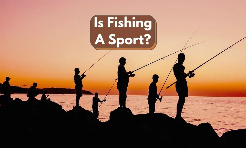 Is Fishing A Sport
