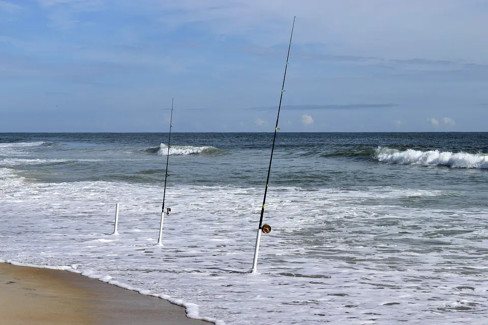 Different Types Of Fishing Reels for Surf Fishing