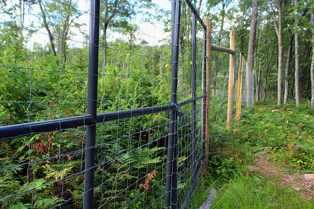 deer fence around garden