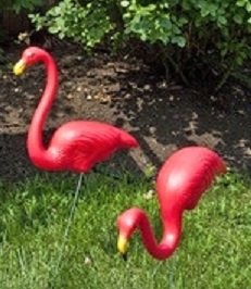 pink flamingos in garden