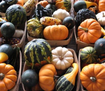 gourds