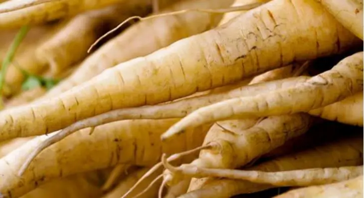 will parsnips grow back after deer eat them