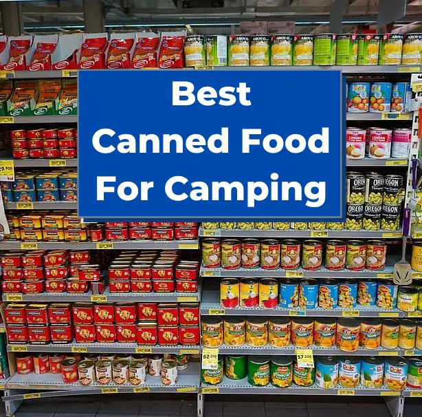 Best Canned Food For Camping
