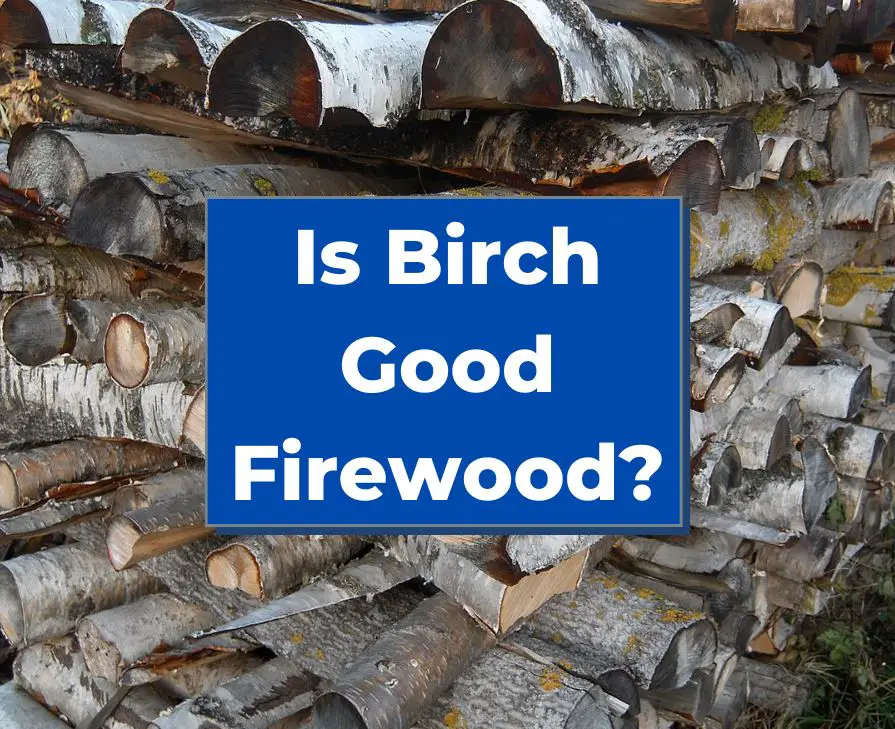 Is Birch Good Firewood