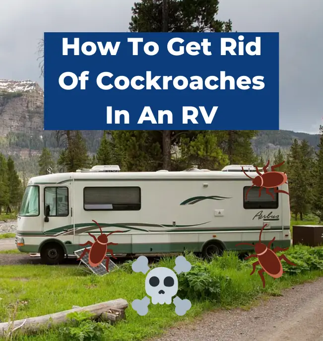 How To Get Rid Of Cockroaches In An RV