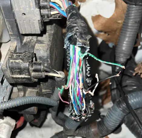 mice chewing rv wires