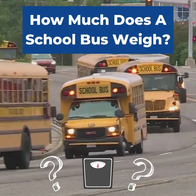 How Much Does A School Bus Weigh