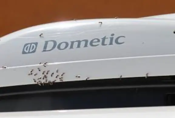 ants getting in to rv