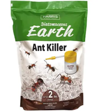 diatomaceous earth ant killer