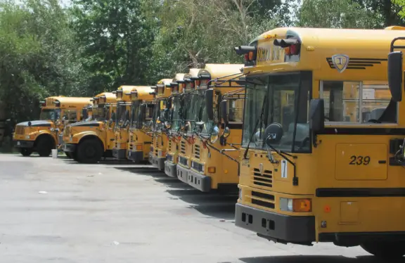 school buses in a line