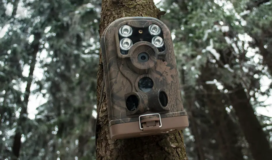 camouflaged trail cam mounted on tree