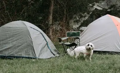 camping setup