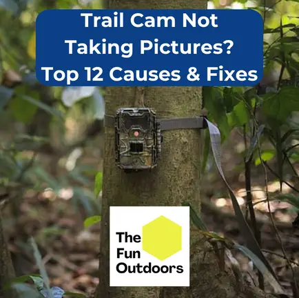 Trail Cam Not Taking Pictures Top 12 Causes & Fixes