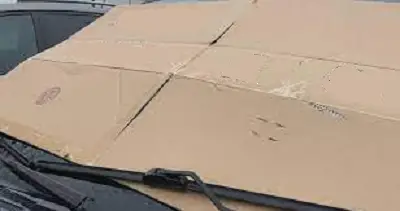 cardboard on windshield