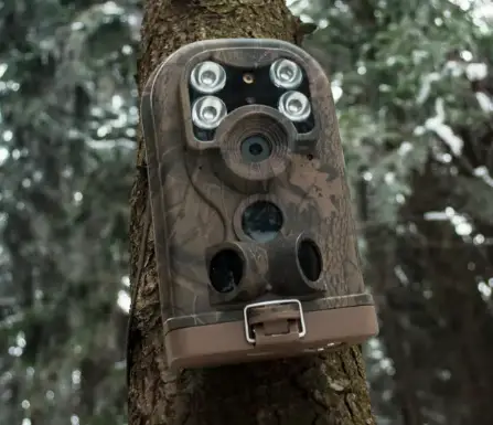 trail cam mounted on tree