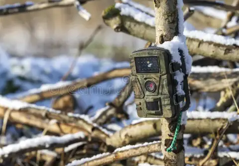 trail camera in snow